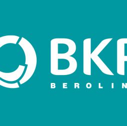 Logo Teaser Muster türkis